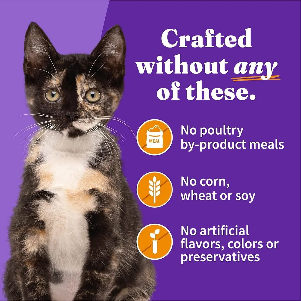 Grain Free Chicken Pate Kitten Can