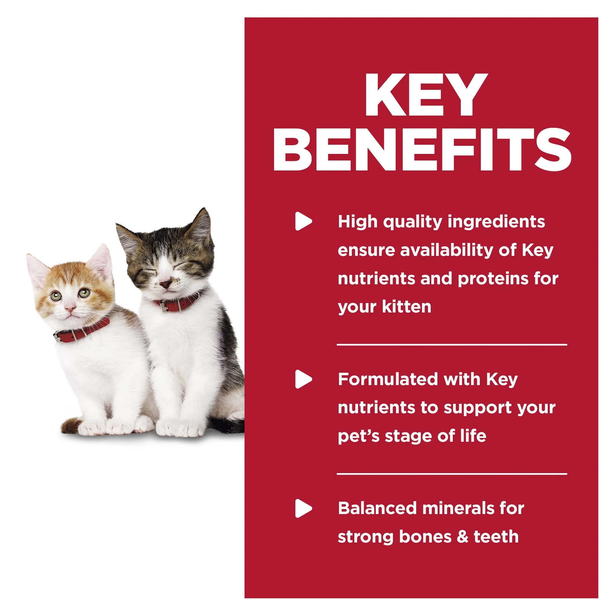 Hills Science Diet Kitten Tender Dinners Chicken Canned Cat Food 156g x 24