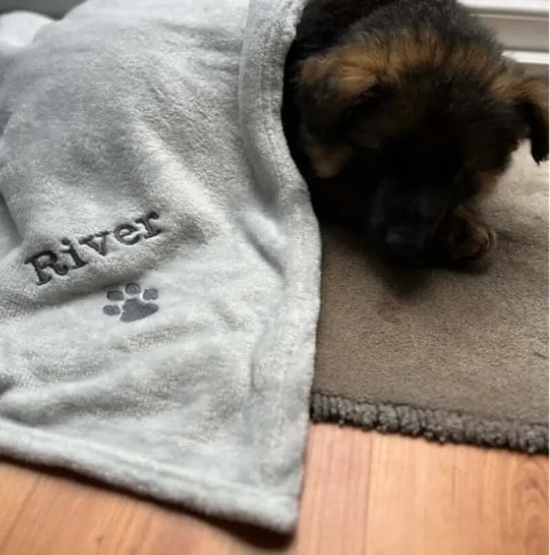 Personalized Embroidered Dog/Cat Puppy/Kitten Blanket.
