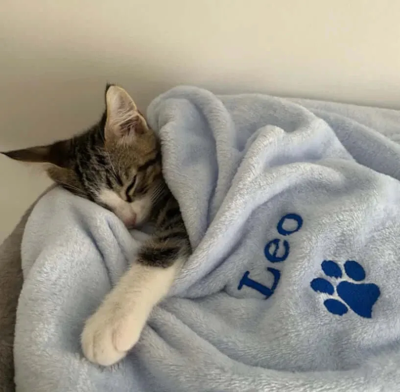 Personalized Embroidered Dog/Cat Puppy/Kitten Blanket.