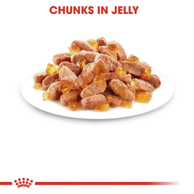Royal Canin Kitten Instinctive Jelly